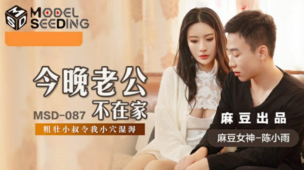 麻豆-今晚老公不在家-陈小雨